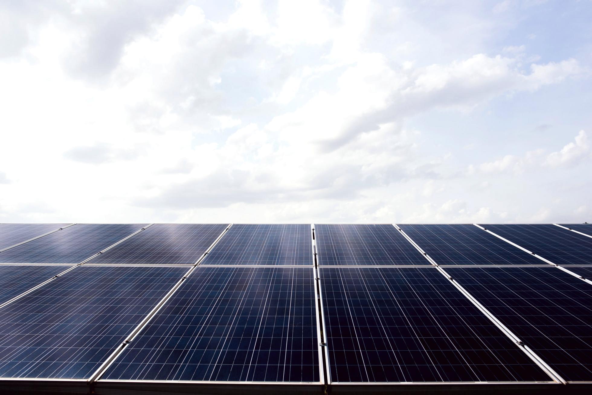 Formación accesible en ecología urbana para todas las regiones