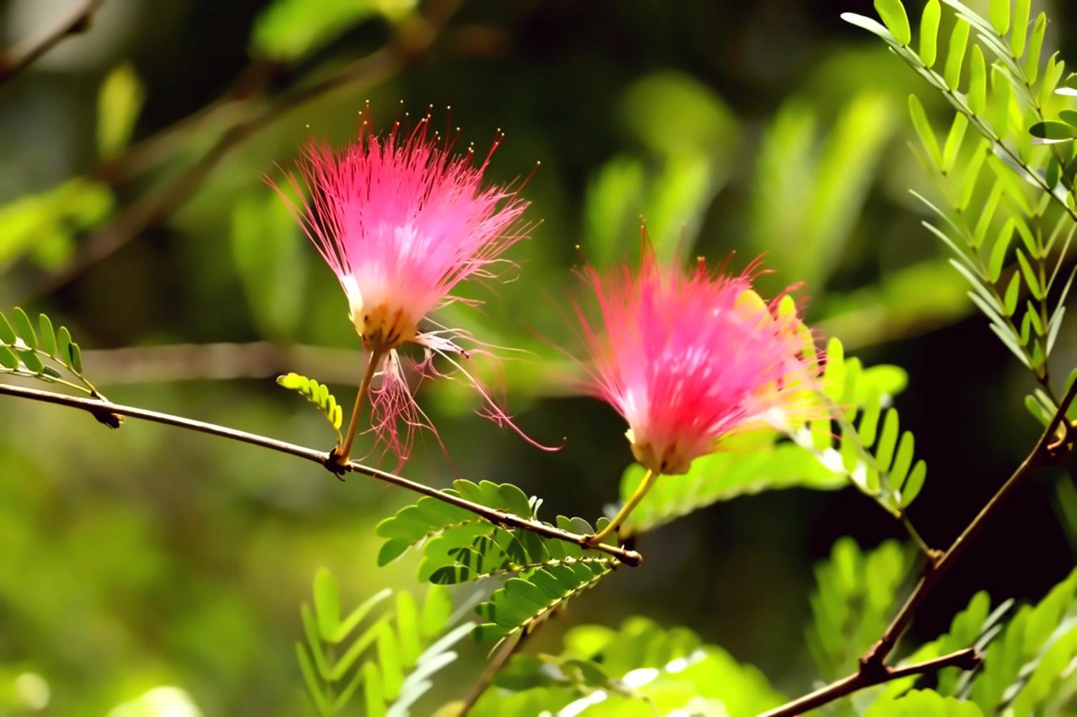 Vegetación en entorno urbano contemporáneo