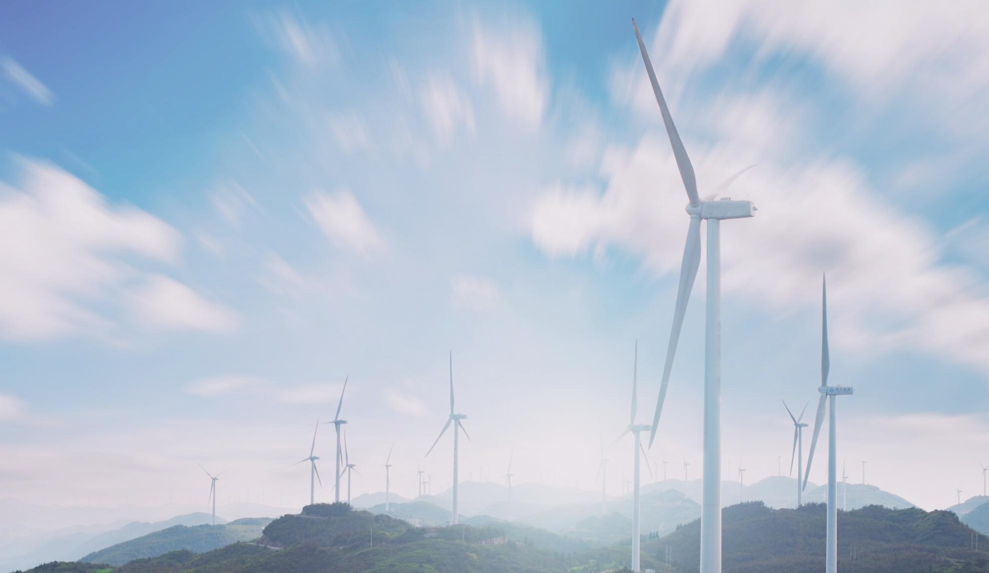 Sesión práctica de ecología urbana con participantes en directo